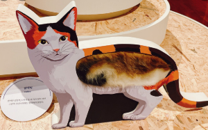 &amp;#39;요물&amp;#39; 우리를 홀린 고양이 전시회