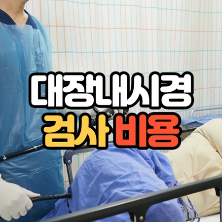 대장내시경 검사 비용
