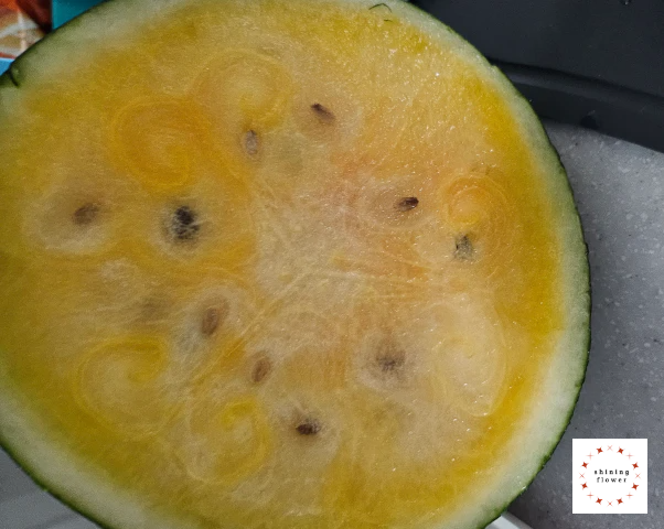 블랙망고수박-절반 컷팅한 절단면