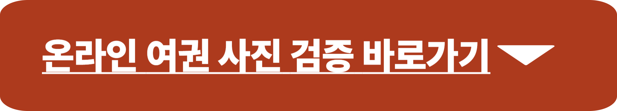 여권 사진 규격