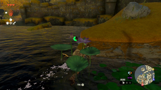 코로그에게-가는-길