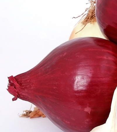 양파 효능 사진19