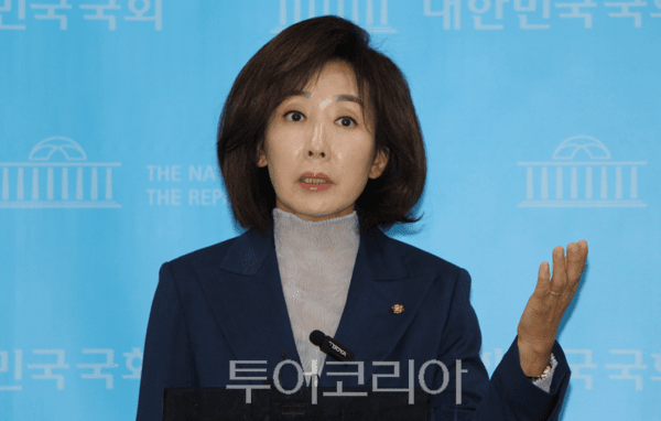 나경원 DMZ 지뢰 결의안 발의