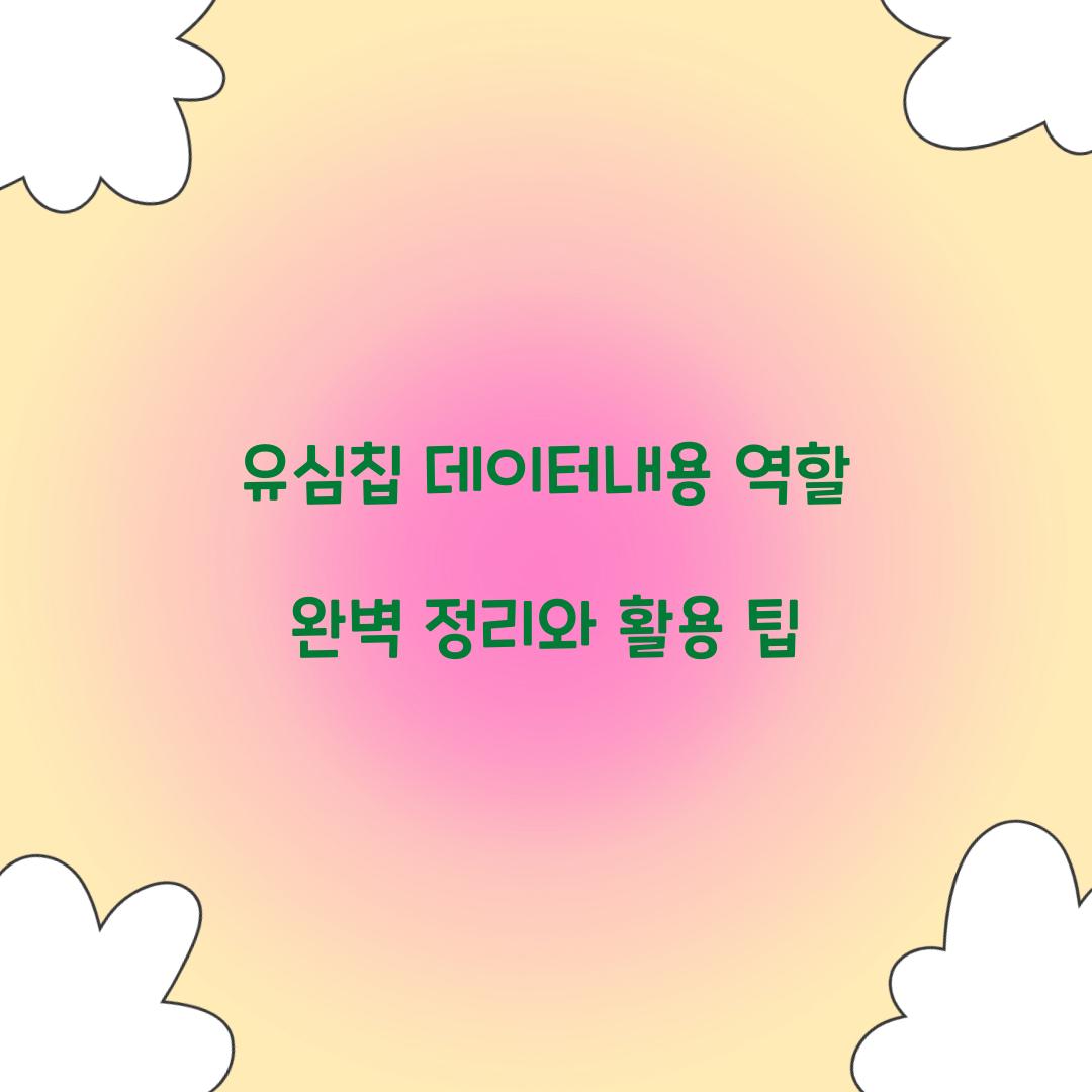 유심칩 데이터내용 역할