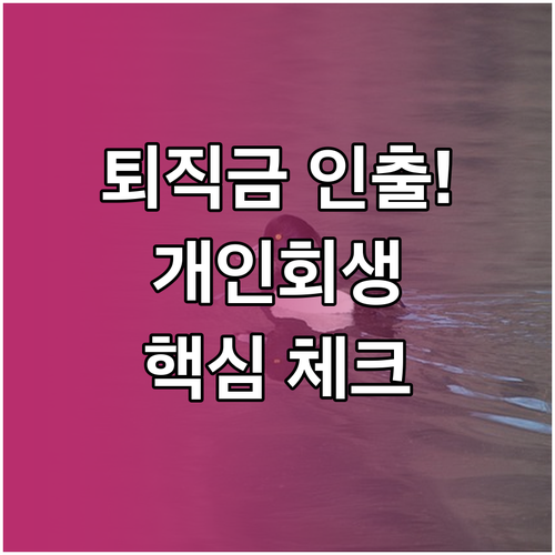 퇴직연금 중도인출 가능 시점과 개인회..