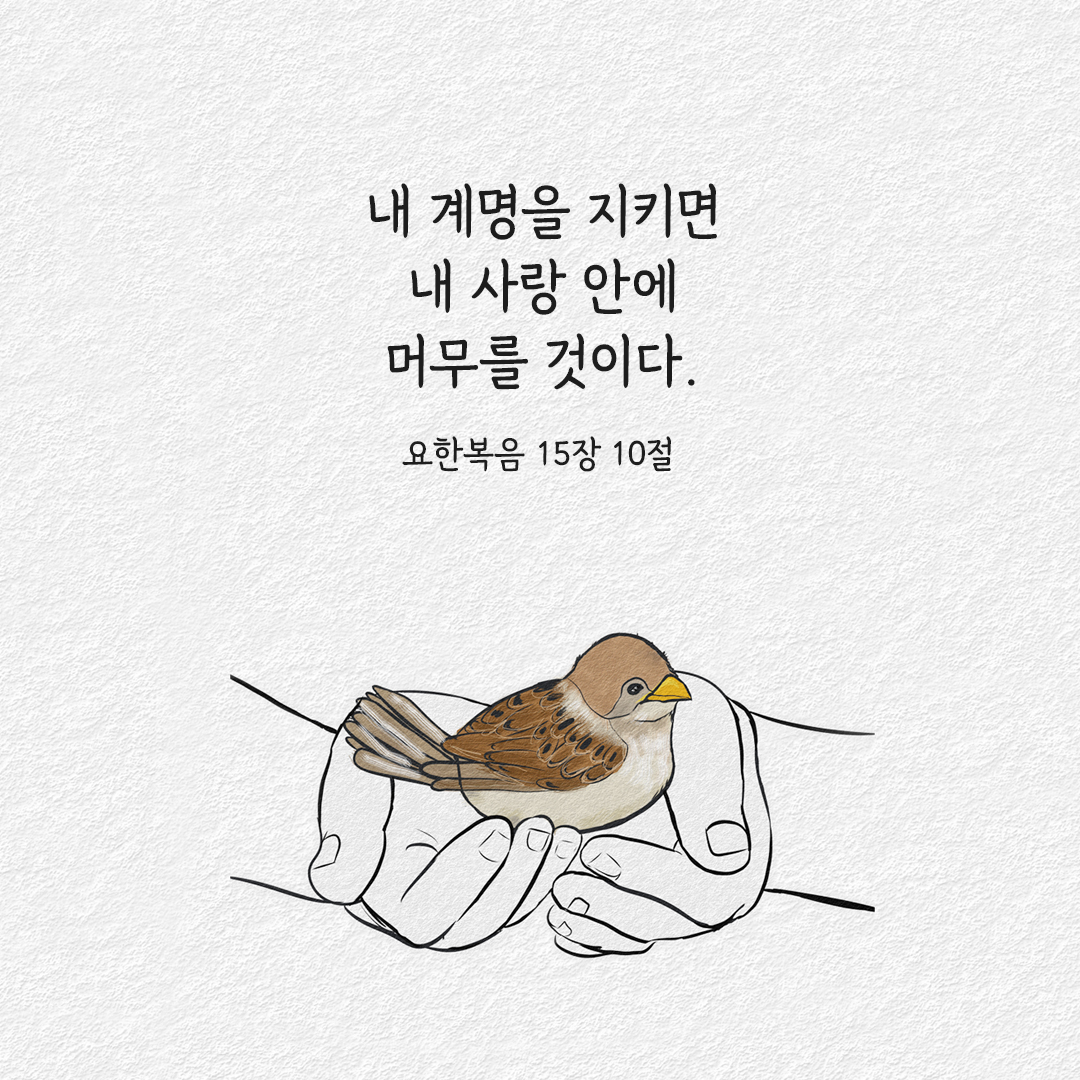 너희도 내 계명을 지키면 내 사랑 안에 머무를 것이다. (요한 15,10) 요한복음 성경 말씀 카드 이미지