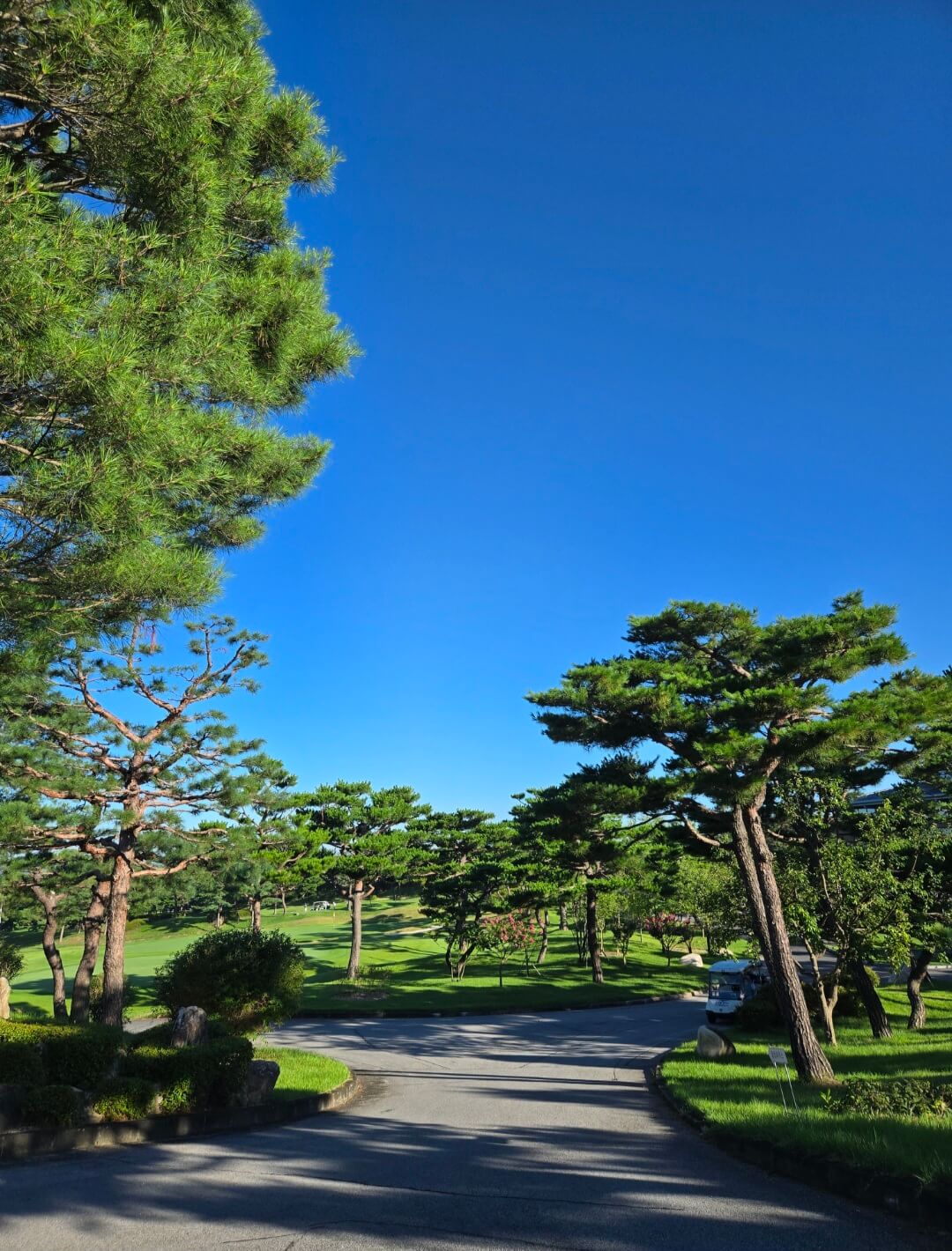 금강cc 스타트하우스에서 바라본 전경