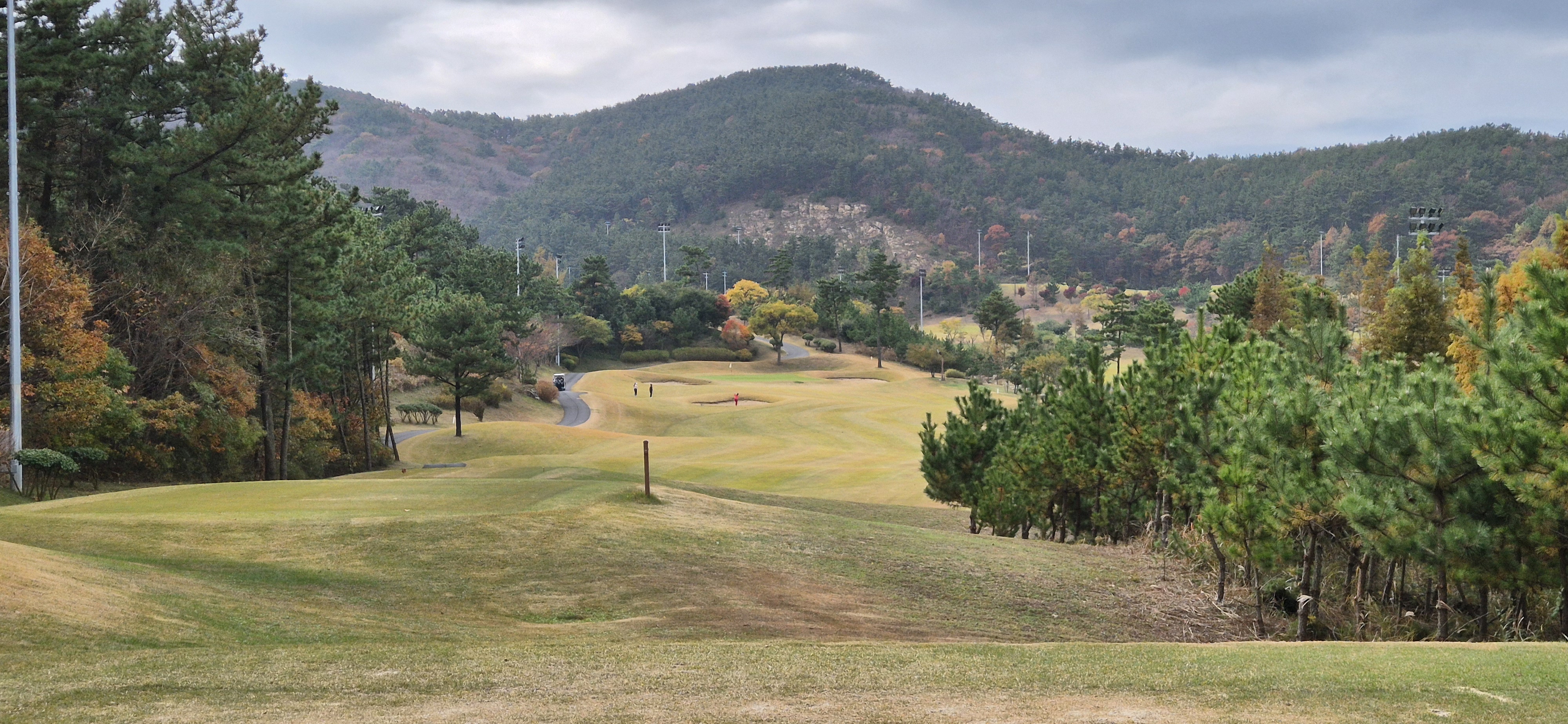 골든베이cc 밸리 코스 사진 및 공략 정보