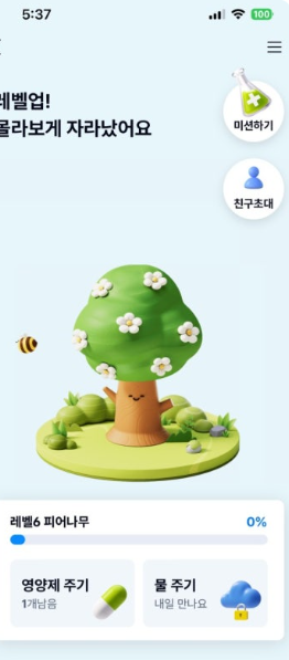 돈나무 키우기