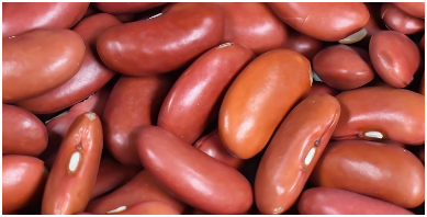 동지 팥죽 먹는 이유