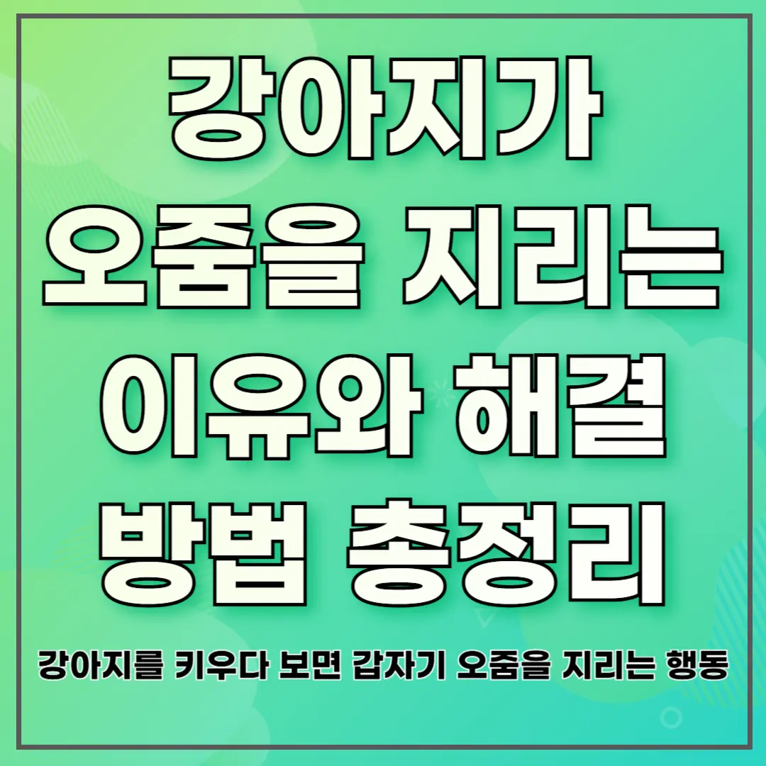 강아지가 오줌을 지리는 이유와 해결 방법 총정리