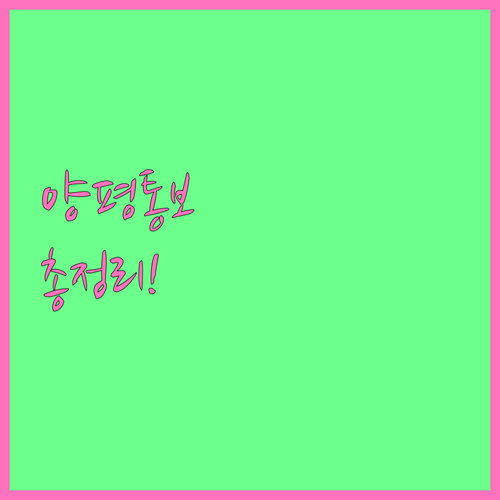 양평통보 2025 활용법: 혜택, 사..