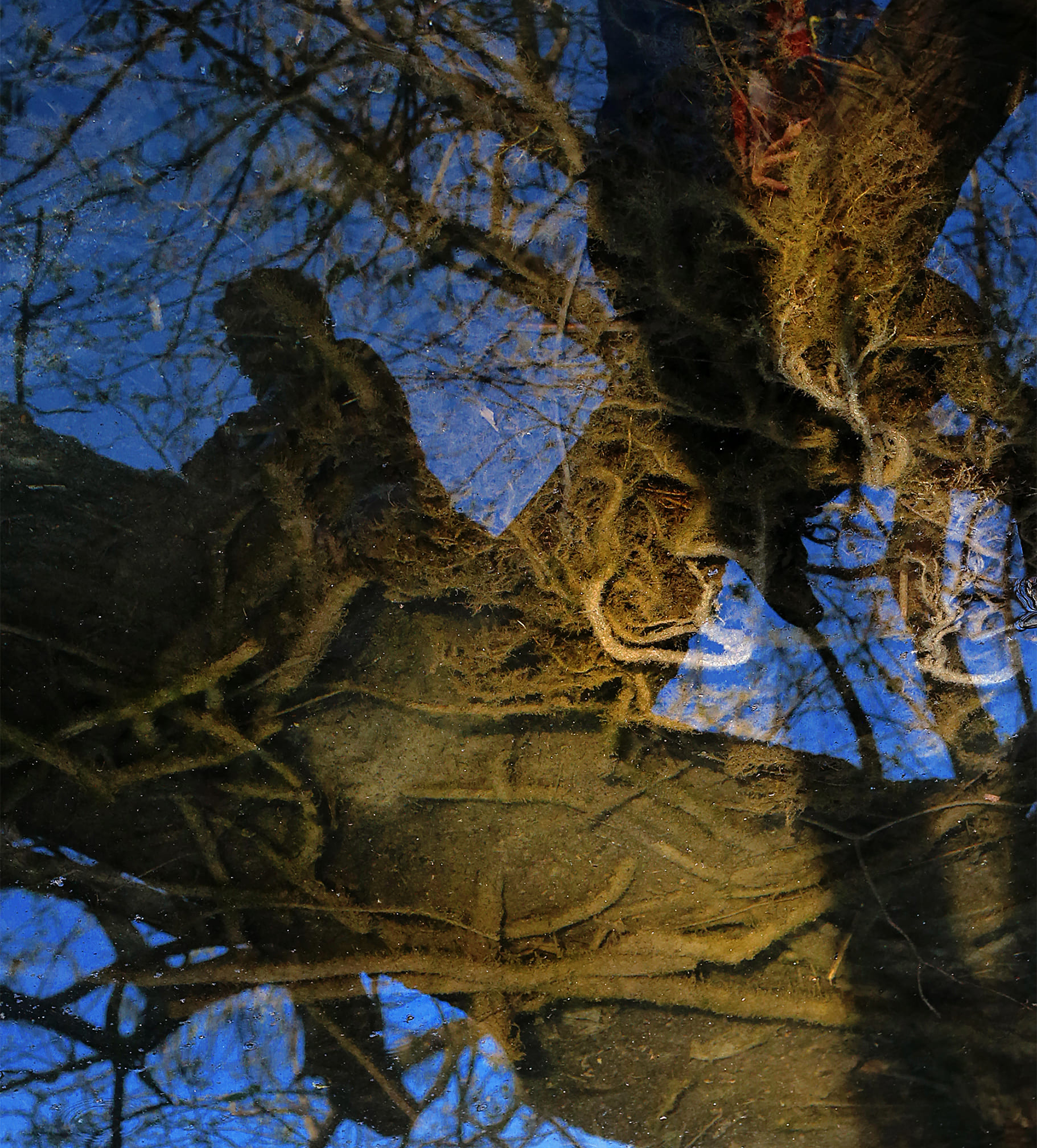 탬버린즈 튜브 핸드 사운즈오브나이트 원료 