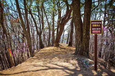 네모세모 국내 최초 개장 산악자전거 MTB 복합 파크 전문가 다운힐 크로스컨트리 가족 여행 체험 가볼만한 곳 추천