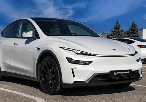 2025년 한국 자동차 판매순위