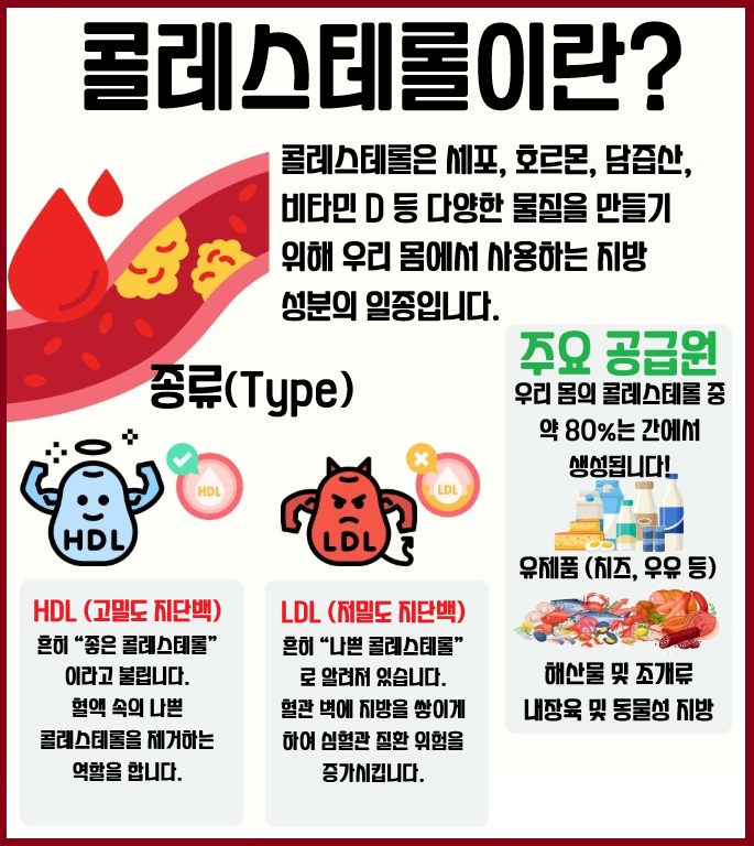 콜레스테롤 낮추기 완전 가이드