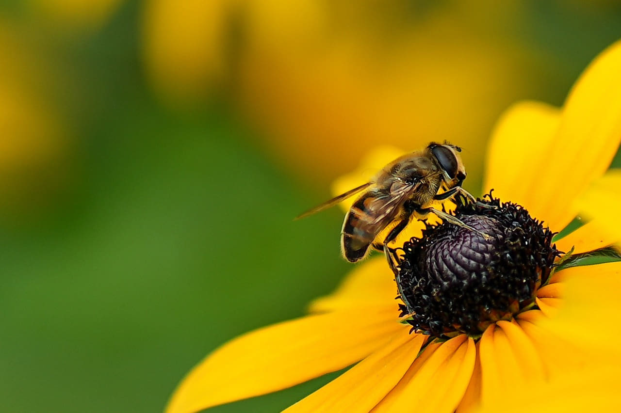 플라스틱 제품의 분해 과정과 미세 플라스틱 형성 원리