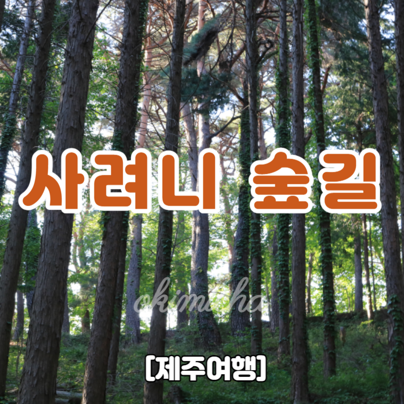 제주_사려니숲길