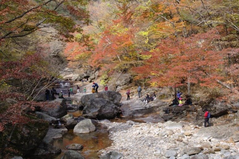 지리산 피아골
