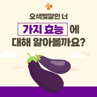 가지 효능 혈압 당뇨 관리 도움 정보_14