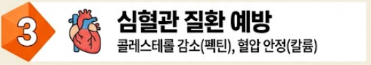 당근 효능