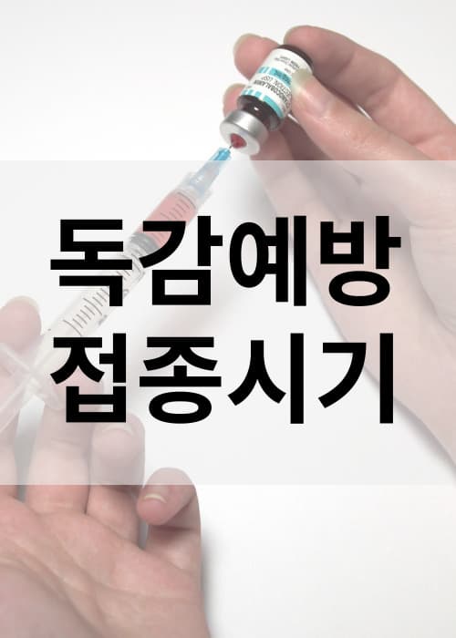 무료독감예방접종시기
