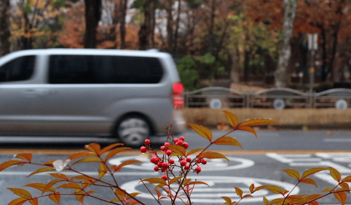 스타렉스_중고차_시세표_4