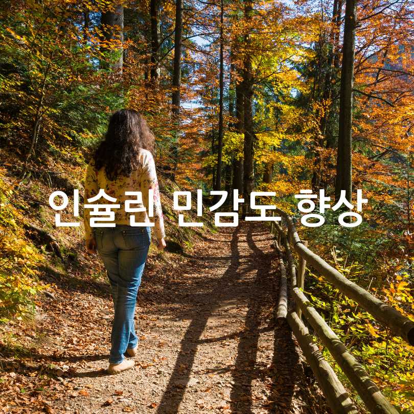 공복 운동 효과 및 공복 운동 방법