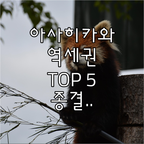 아사히카와 호텔 추천 TOP 5 역세..