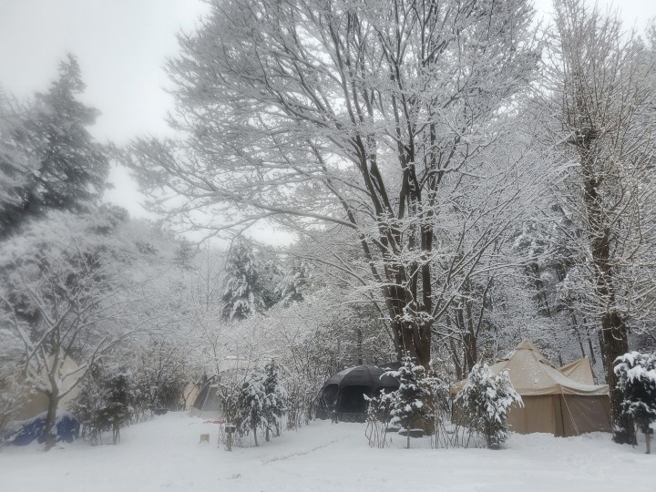 포천 아버지의숲 산정캠프 소개