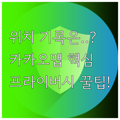 카카오맵 프라이버시 보호를 위한 위치..