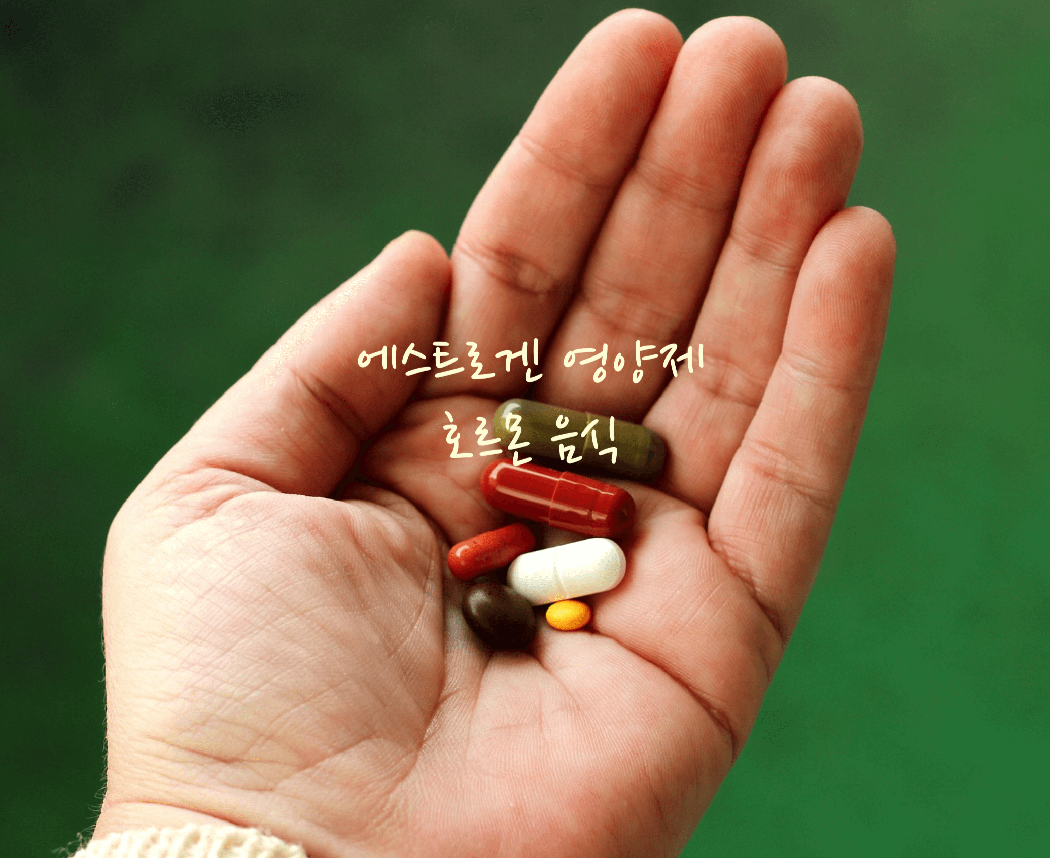 에스트로겐