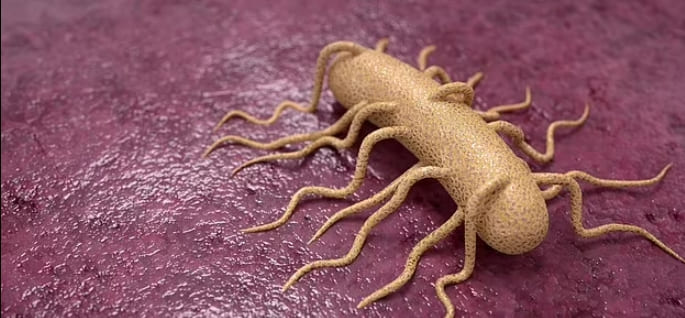 [봄맞이 대청소] 박테리아 바글바글 냉장고...음식은 이렇게 보관해야 More than 1.8 MILLION bacteria linked to miscarriages and respiratory infections may be lurking in your fridge