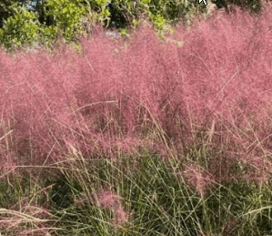 가을여행 단풍 기차여행 추천