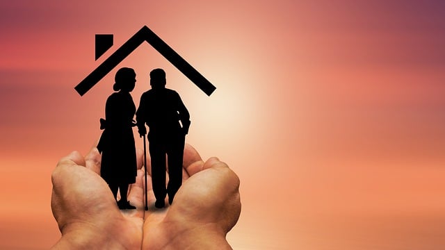 노인 일자리 정보사이트