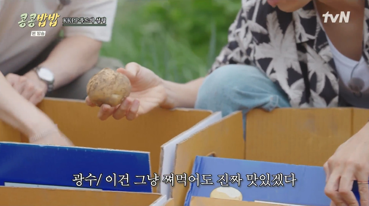 콩콩팥팥