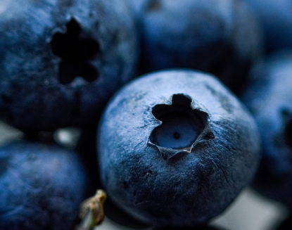 당뇨에 좋은 음식 6