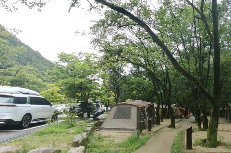 주차장 바로 옆사이트 카트가 편하게 다니도록 길이 시멘트로 되어있다