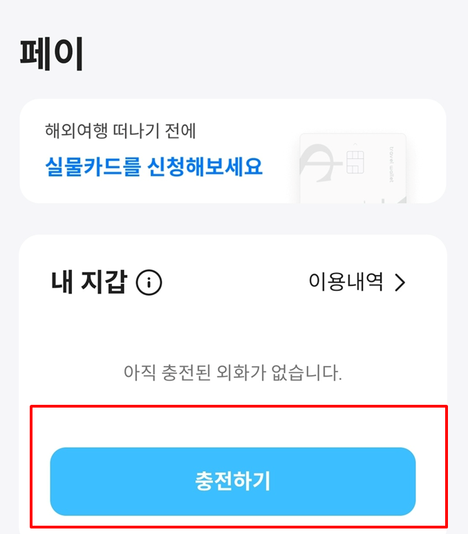 트래블월렛 카드