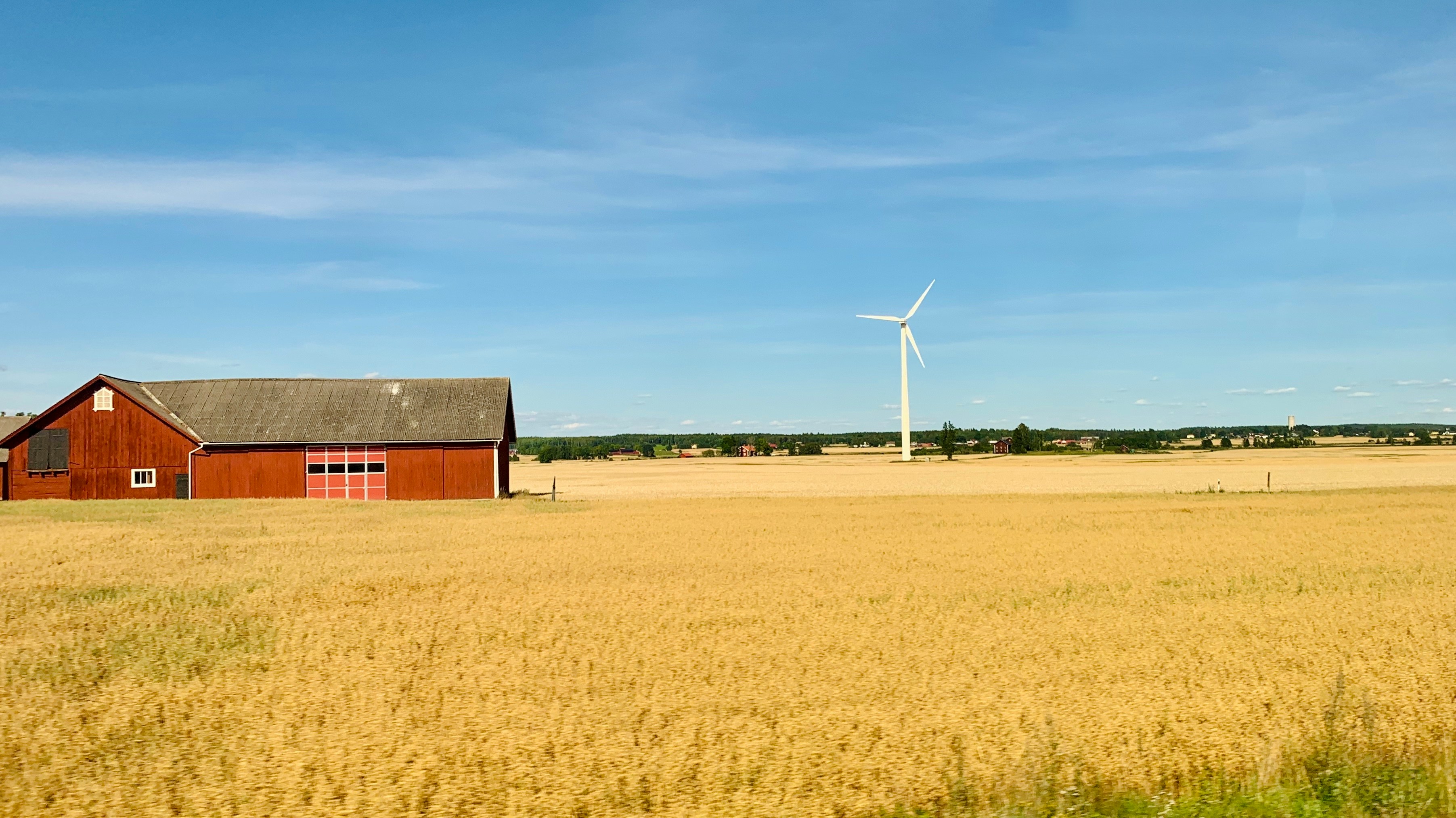 전원 생활 풍경