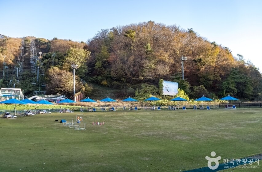 용인 가볼만한곳 베스트 10