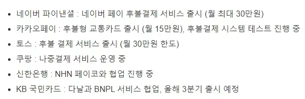 국내-BNPL-현황