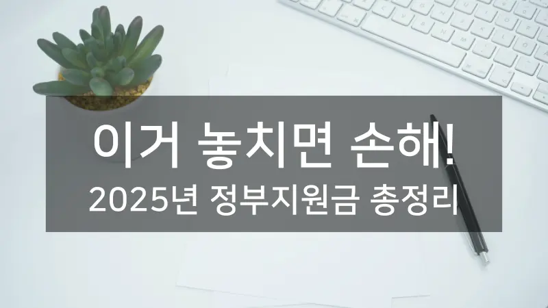 2025년 정부지원금 총정리 - 정부지원금을 받는 모습