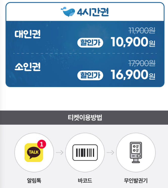 부산 명지 아쿠아 키즈카페 아쿠아플레이하우스