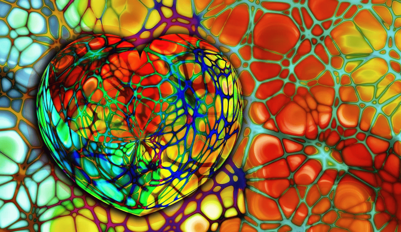 세동맥에 대해서 알아보기