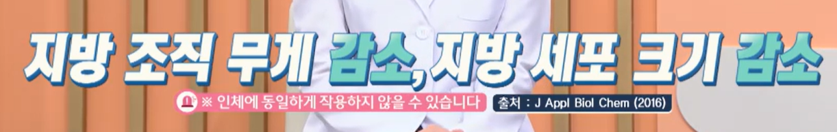 시서스 효능