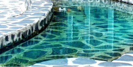 덕구테마계곡 산책로