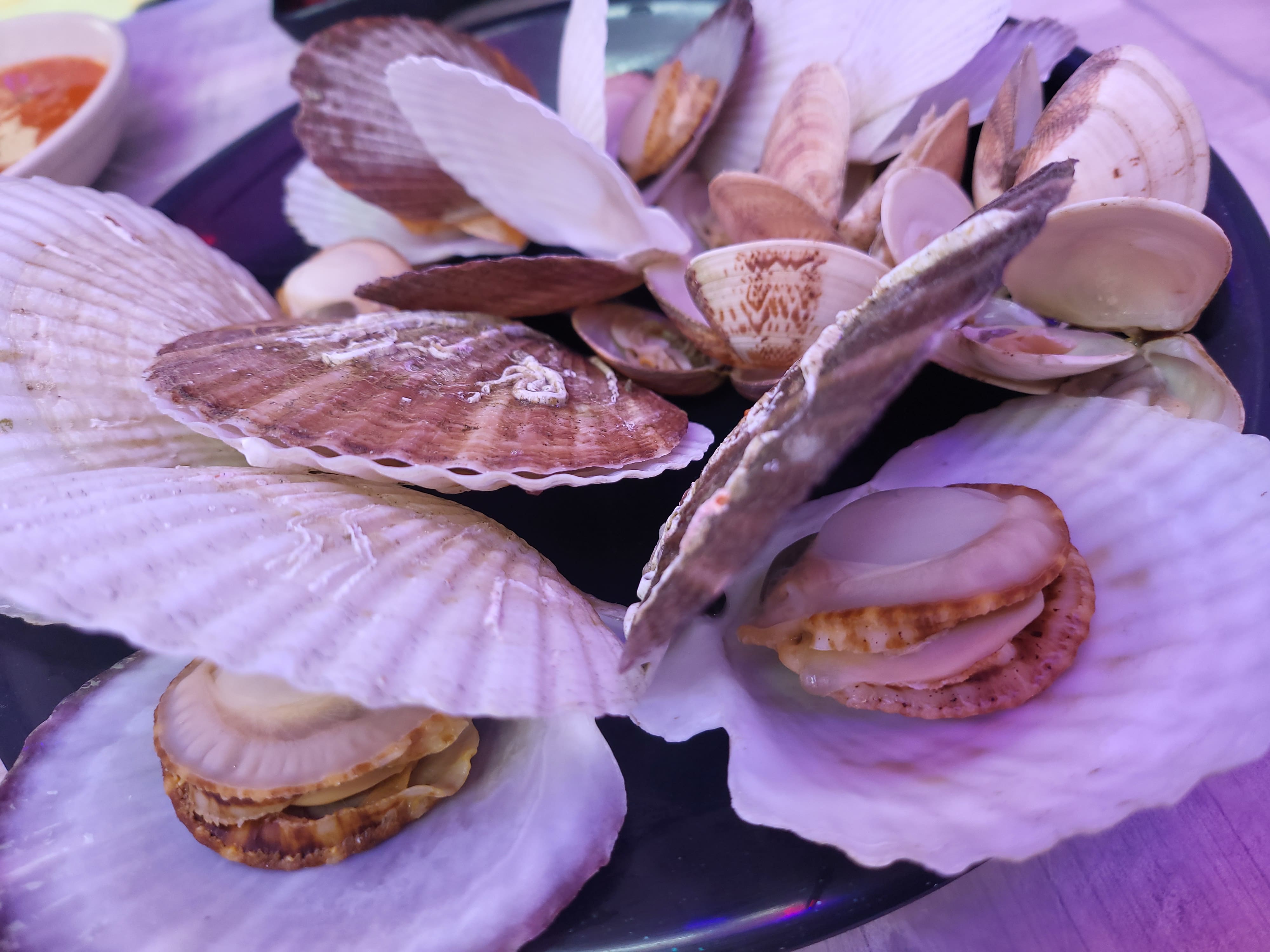 대포항 콩새네 조개찜