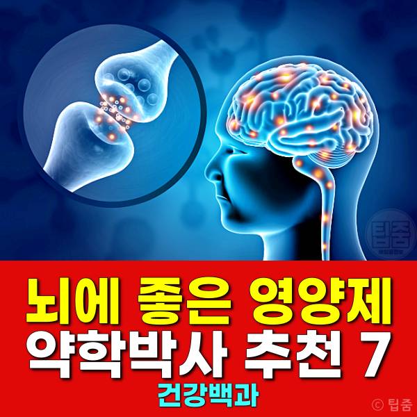 뇌에 좋은 영양제