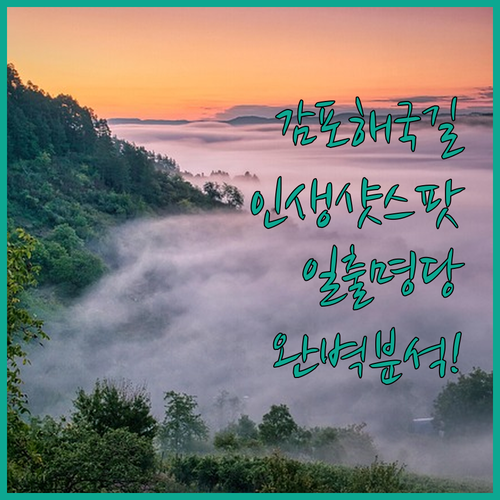 감포항 해국길 포토존 정보와 근처 일..